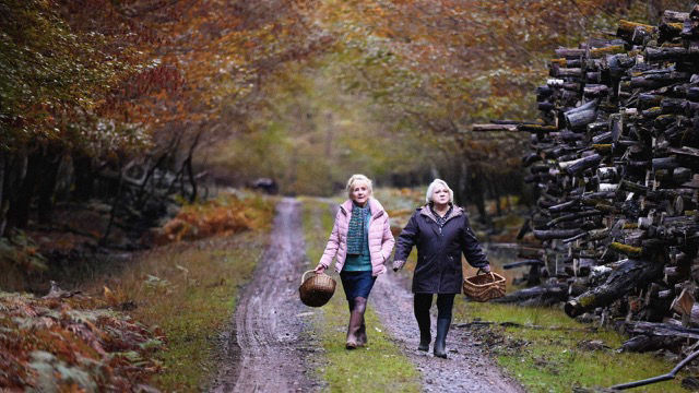 Wenn der Herbst naht